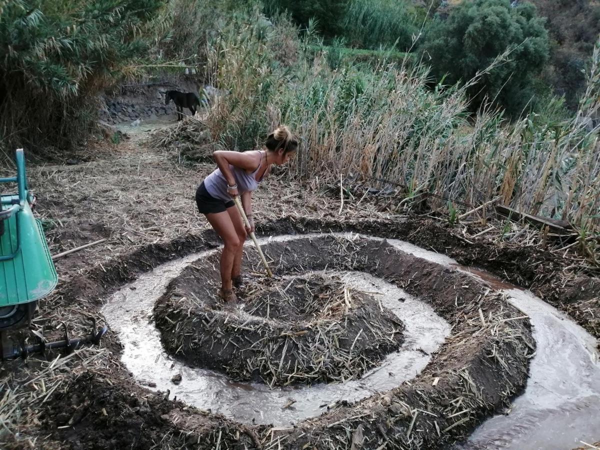 Pensjonat Ecoartejeda Cave House Zewnętrze zdjęcie